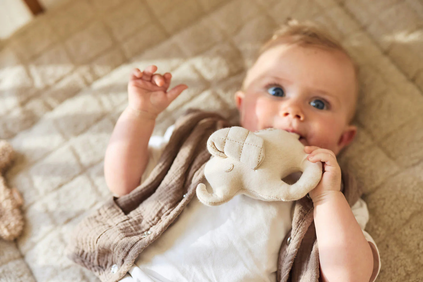 Babyrassel Elefant
