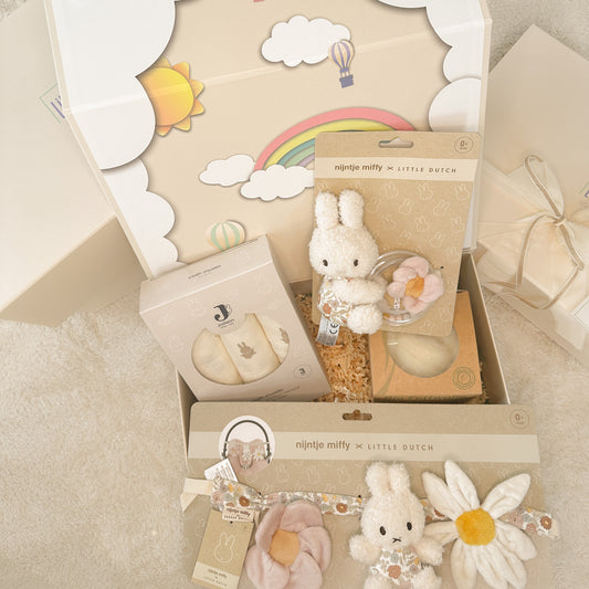 Little Miffy Box